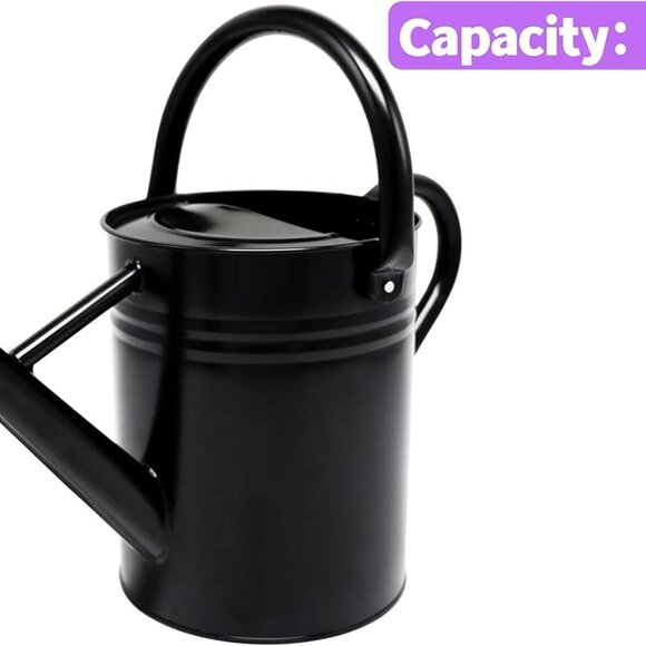 Beautiful Metal Watering Can for Outdoor & Indoor Plants 1 Gallon New! - Picture 3 of 4